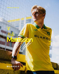 Pelle Mattsson: A Rising Star in Contemporary Art