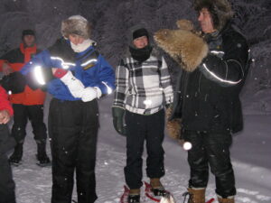 Exploring the Wonders of Lapland: A Journey into the Arctic