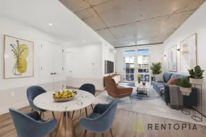 Exploring the Vibrant Neighbourhood of Bushwick, Brooklyn