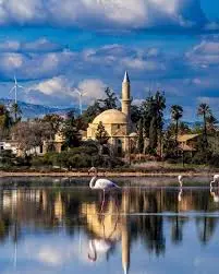Exploring Larnaca: Cyprus’s Vibrant Coastal City