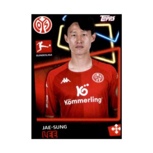 Mainz FC: Challenges and Aspirations in Bundesliga