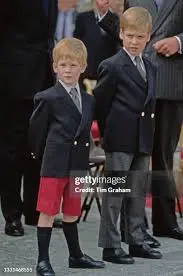 Recent Developments in the Life of Prince Harry