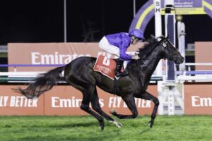 Understanding the Ruling Court Horse Case and Its Impact