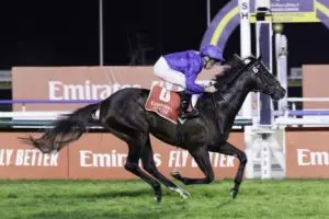 Understanding the Ruling Court Horse Case and Its Impact