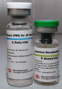 The Vaccines: Importance, Developments, and Future Outlook