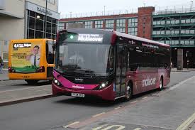 Trent: A Name and a Representation of Modern Youth Culture