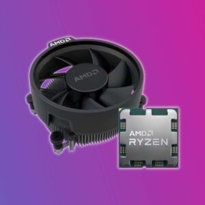 Understanding the Current Trends in AMD Stock