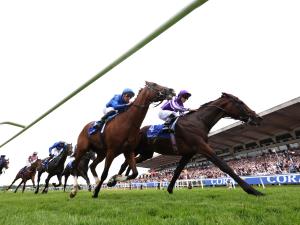 The Thrill and Significance of Being at the Races