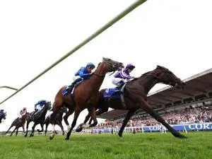 The Thrill and Significance of Being at the Races