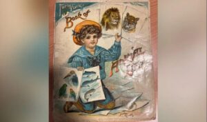 Understanding BBC Newsround: A Trusted Source for Children’s News