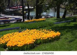 Beşiktaş: A Glimpse into Turkey’s Premier Football Club