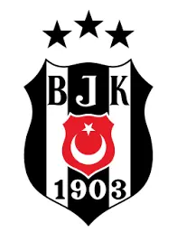 Beşiktaş: A Glimpse into Turkey’s Premier Football Club