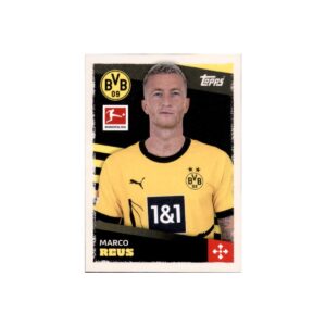 An Overview of Borussia Dortmund: History and Future Prospects