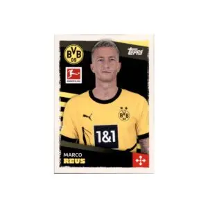 An Overview of Borussia Dortmund: History and Future Prospects