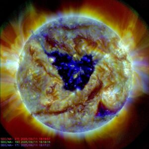 Unraveling the Mystery of the Butterfly Shaped Hole on the Sun