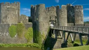 The Caerphilly By-Election: Insights and Implications