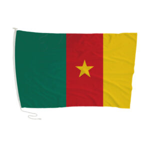 Key Developments and Challenges in Cameroon