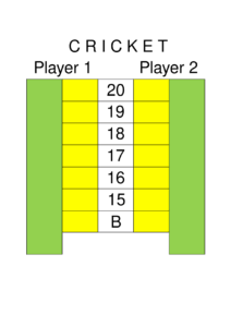 All You Need to Know About Cricket Scores