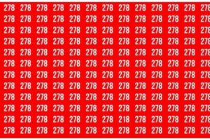 Understanding the Importance of a Daily Record