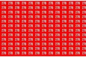 Understanding the Importance of a Daily Record