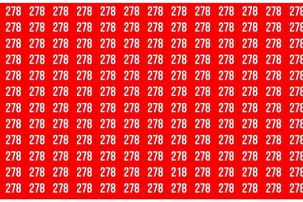 Understanding the Importance of a Daily Record