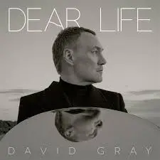 David Gray: A Glimpse into His Musical Journey and Recent Updates