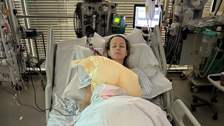 The Career and Impact of Deborah Haynes in Journalism