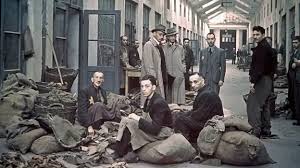 The Complex Reality of Deportation in Today’s Society