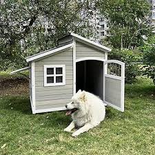 The Vital Role of Dogs in Modern Society