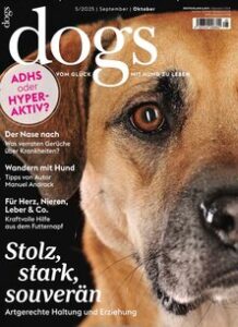 The Growing Popularity of Dogs in UK Households