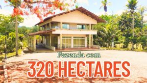 Understanding Fazenda: Nature’s Bounty and Agriculture’s Future