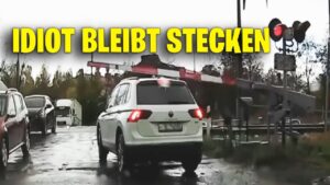 Understanding the Term ‘Idiot’ and Its Evolution in Language