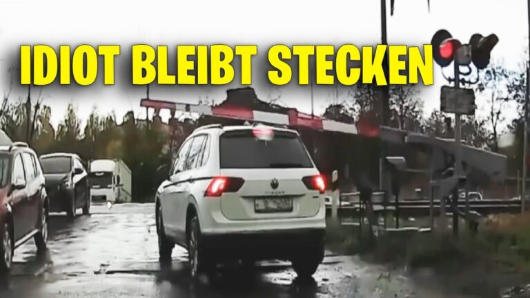 Understanding the Term ‘Idiot’ and Its Evolution in Language