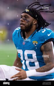 The Importance of Jaguars in Ecosystems and Conservation Efforts