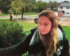 The Disappearance of Lilly Higgins: A Community in Search