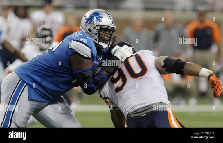 Lions vs Bears: A Comparison of Two Apex Predators