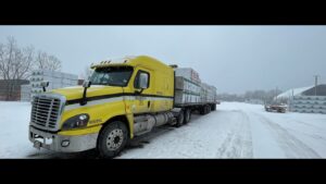 The Legacy of Mario: A Cultural Icon in Gaming