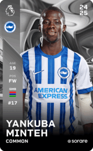 Exploring the Health Benefits of Minteh