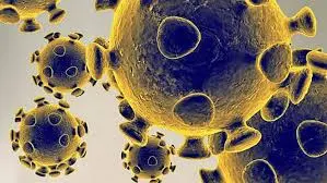Overview of the New COVID Strain Emerging in the UK