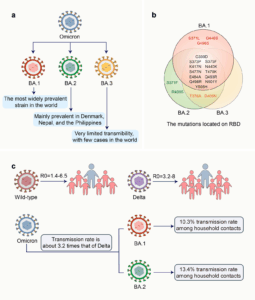 The Emergence of a New COVID Variant: Implications for Public Health