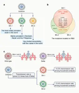 The Emergence of a New COVID Variant: Implications for Public Health