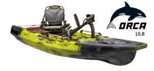 The Significance of Orcas in Marine Ecosystems