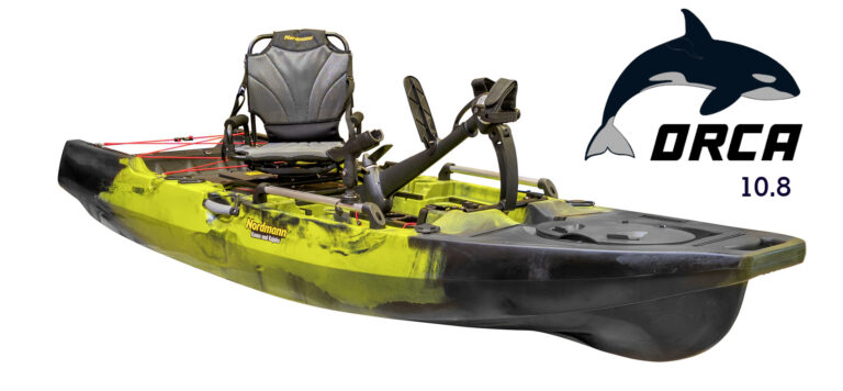 The Significance of Orcas in Marine Ecosystems