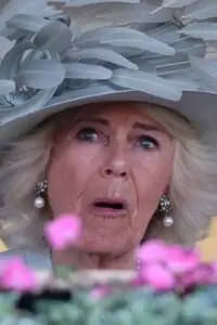 The Evolving Role of Queen Camilla in the British Monarchy