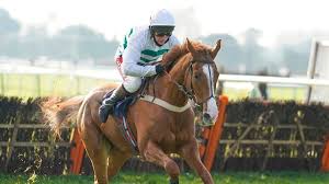 Discover the Importance of Racing Post in Horse Racing