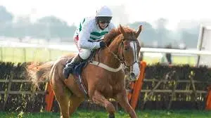 Discover the Importance of Racing Post in Horse Racing