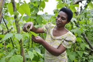 Rwanda: A Rising Star in Africa’s Development