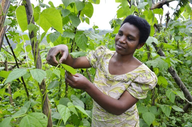 Rwanda: A Rising Star in Africa’s Development