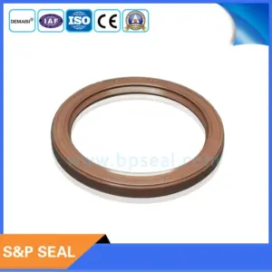 The Importance of Seal Conservation in the UK