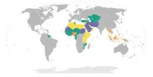 The Importance and Contemporary Relevance of Sharia Law